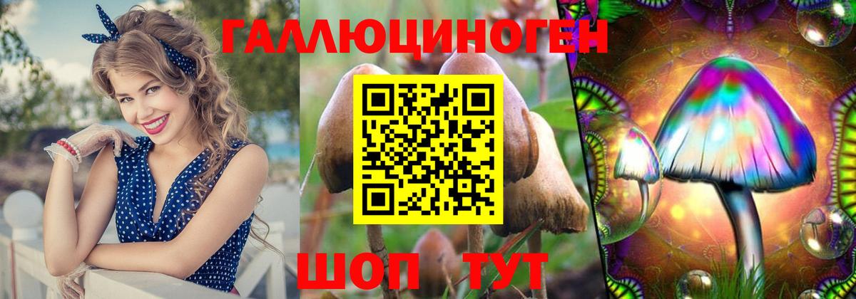 Ялта  Псилоцибиновые грибы MAGIC MUSHROOMS  Вход с VPN 